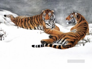 tigres en el campo de nieve Pinturas al óleo